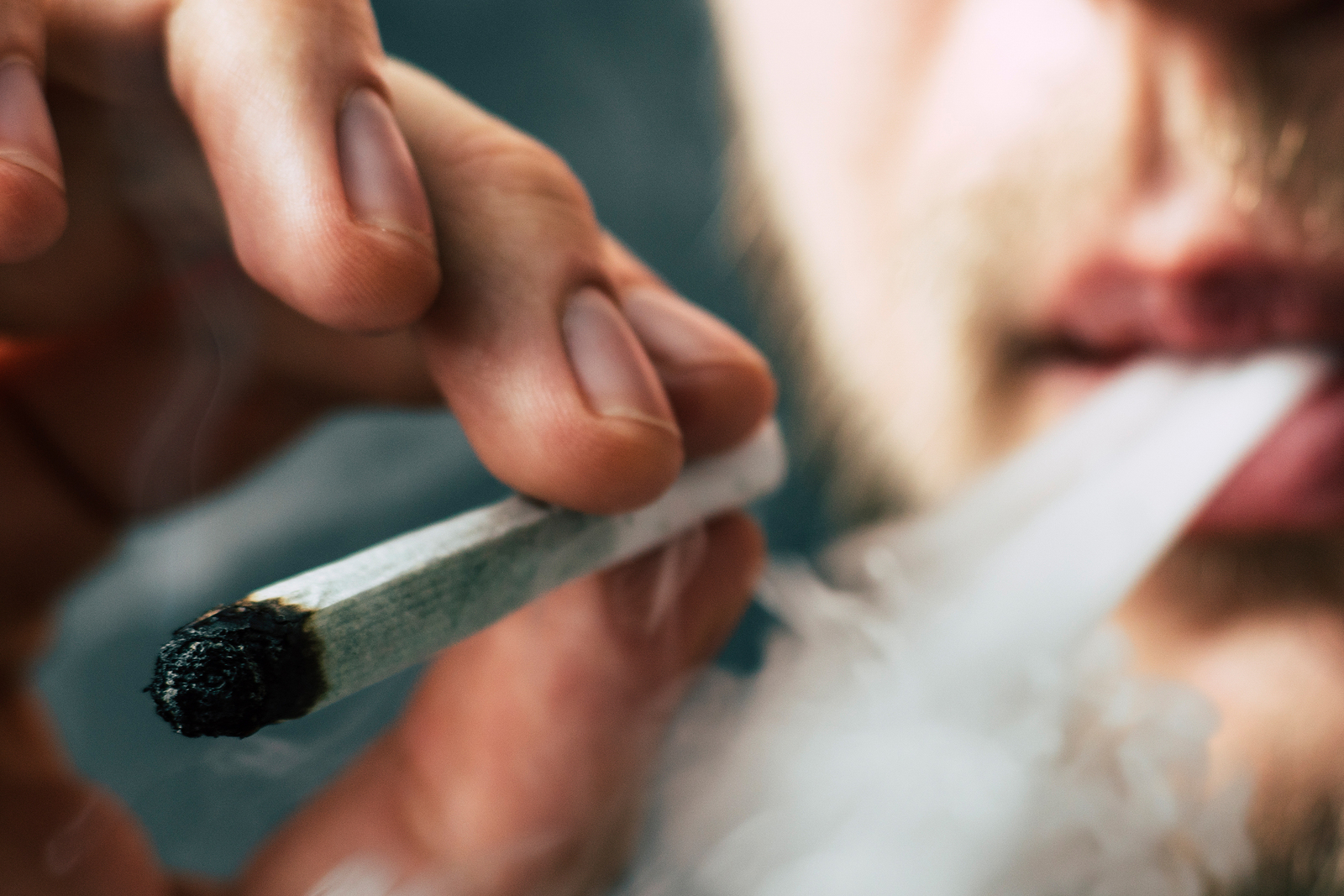 курение марихуаны лишение прав